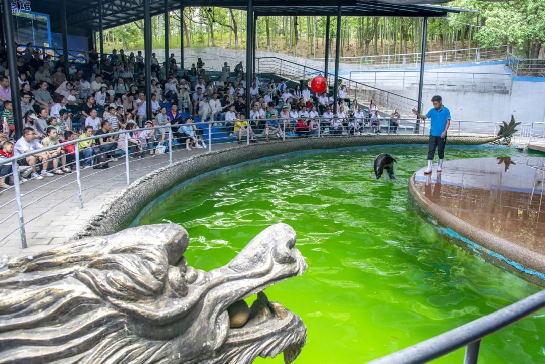 熱辣滾燙 揚(yáng)帆未來——巨人集團(tuán)公司團(tuán)建之旅 熱辣滾燙 揚(yáng)帆未來——巨人集團(tuán)公司團(tuán)建之旅