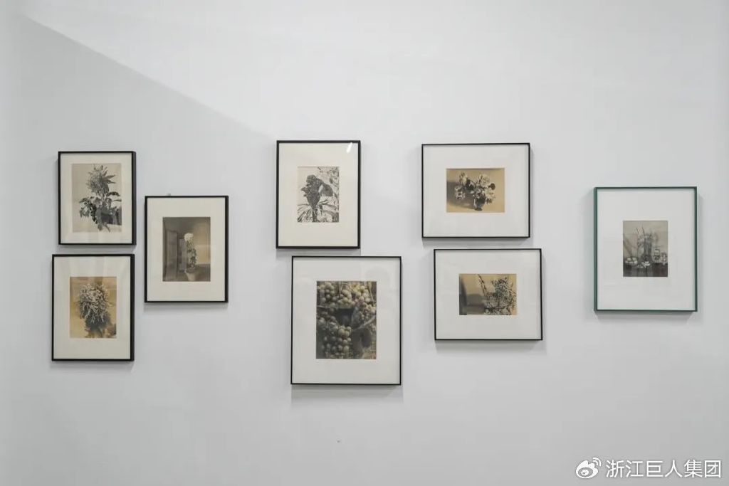 博覽相機(jī)文化 致敬科技匠心——南潯巨人照相機(jī)博物館開幕 博覽相機(jī)文化 致敬科技匠心——南潯巨人照相機(jī)博物館開幕