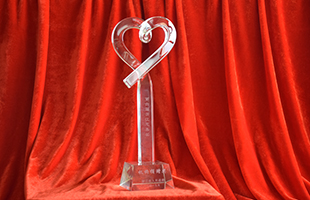 2019年浙江省慈善獎機構(gòu)捐贈獎